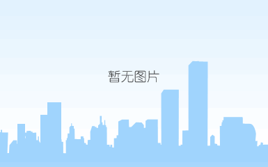 案例详情——政府_画板-1_03.png